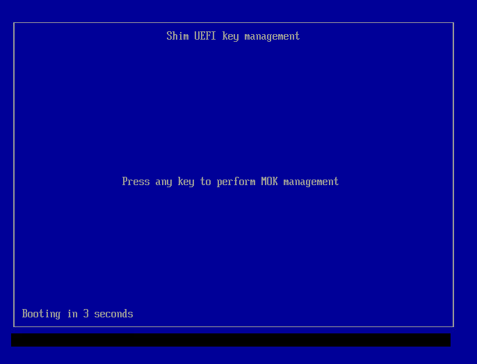 Initial MOK Manager screen showing key management interface