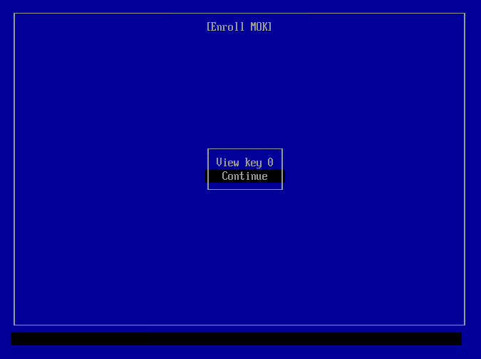 UEFI screen prompting user to continue
