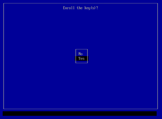UEFI screen confirming user choice