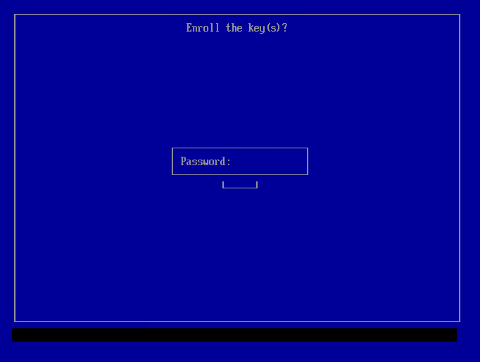 UEFI password input screen