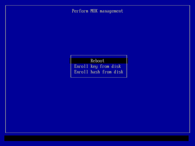 UEFI screen prompting reboot